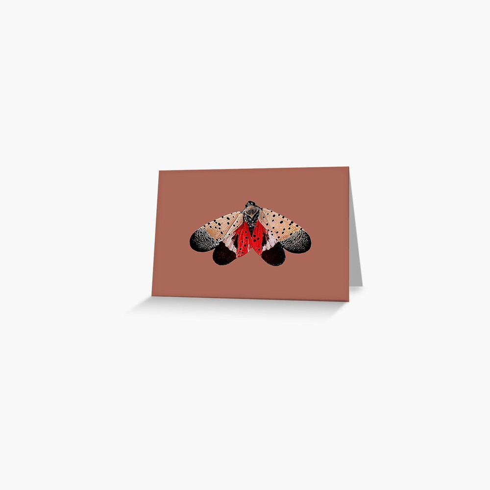 Item preview, Greeting Card designed and sold by WanderingMogwai.