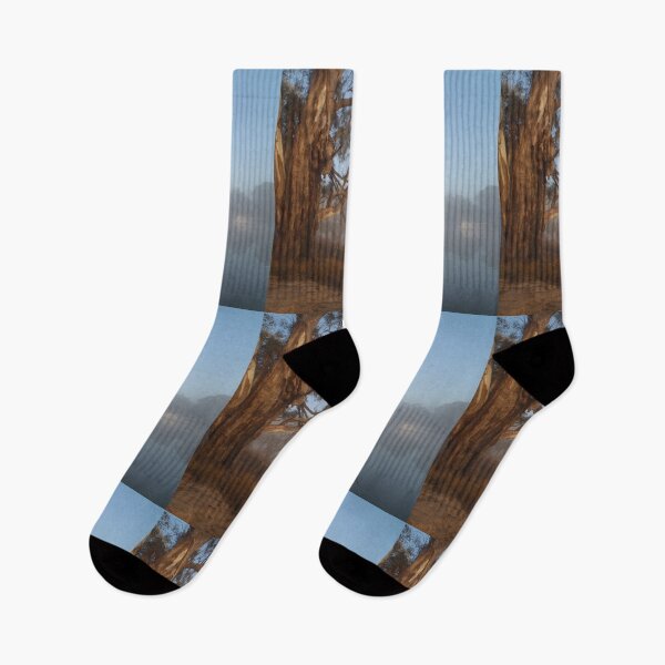 Item preview, River Red Gum on a misty morning designed and sold by HaniaAnia.