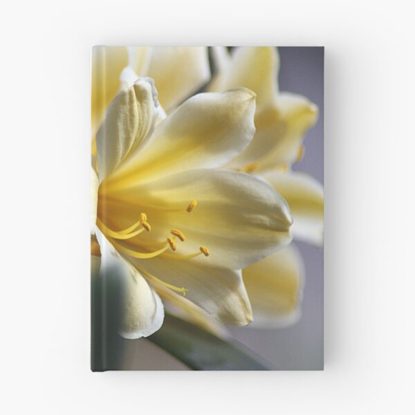 Item preview, Butter Soft designed and sold by Katagram.