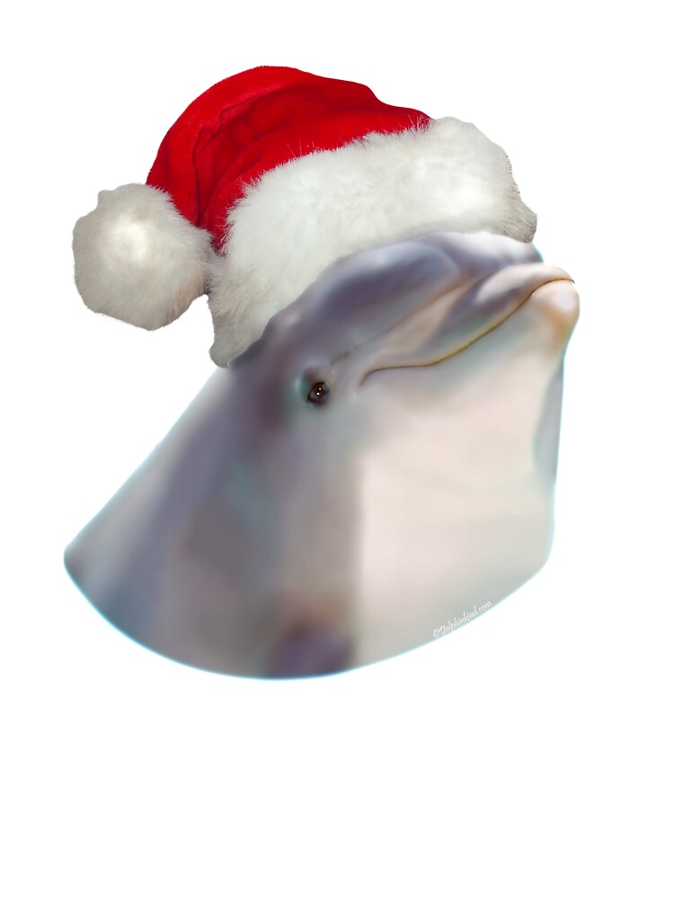 dolphin santa hat