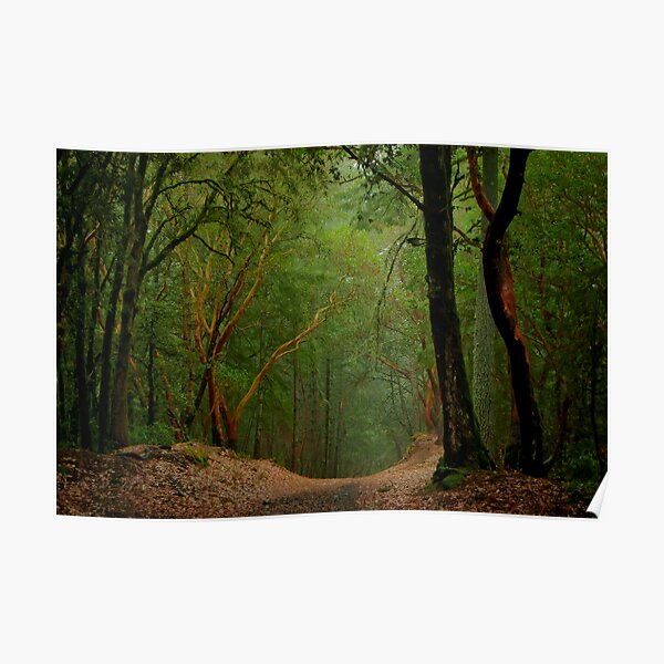 El Corte Madera Open Space Poster