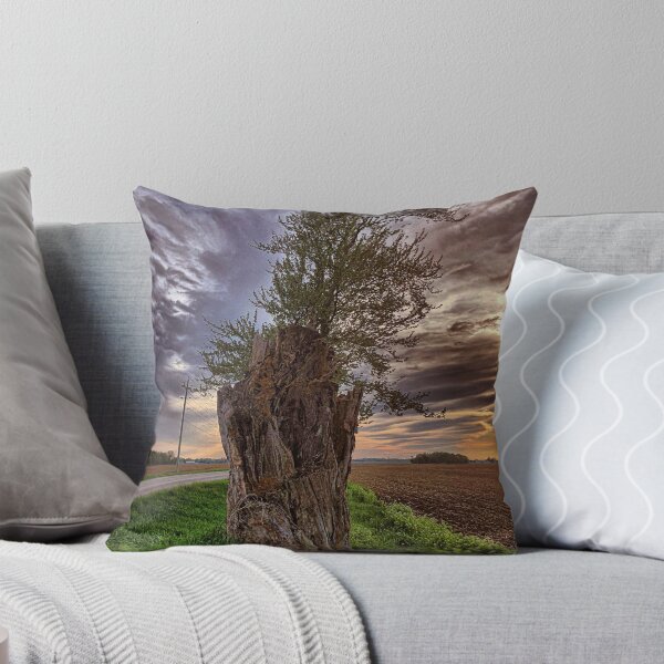 Item preview, Stump designed and sold by mreleganza.