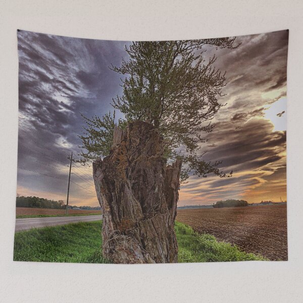 Item preview, Stump designed and sold by mreleganza.