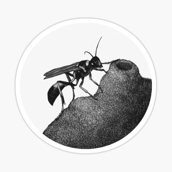Mud Dauber Sticker