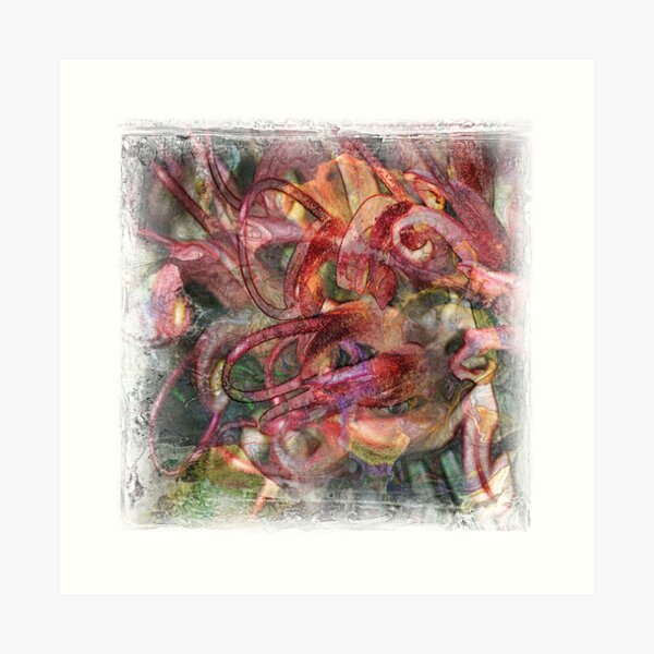 The Atlas Of Dreams - Color Plate 58 Art Print
