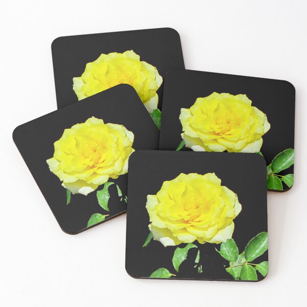 Item preview, Rose - Delbard Bordure d'or designed and sold by DPalmer.