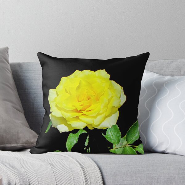 Item preview, Rose - Delbard Bordure d'or designed and sold by DPalmer.