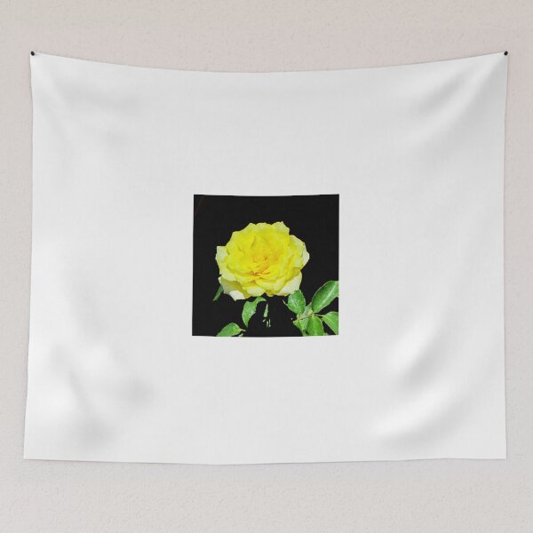 Item preview, Rose - Delbard Bordure d'or designed and sold by DPalmer.