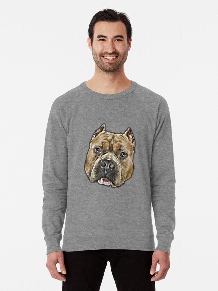 Pitbull sweatshirt for discount dog