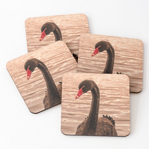 Item preview, Black Swan designed and sold by habilephoto.