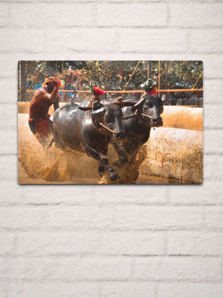 Powerhouse Collection - Kambala School 'R' badge