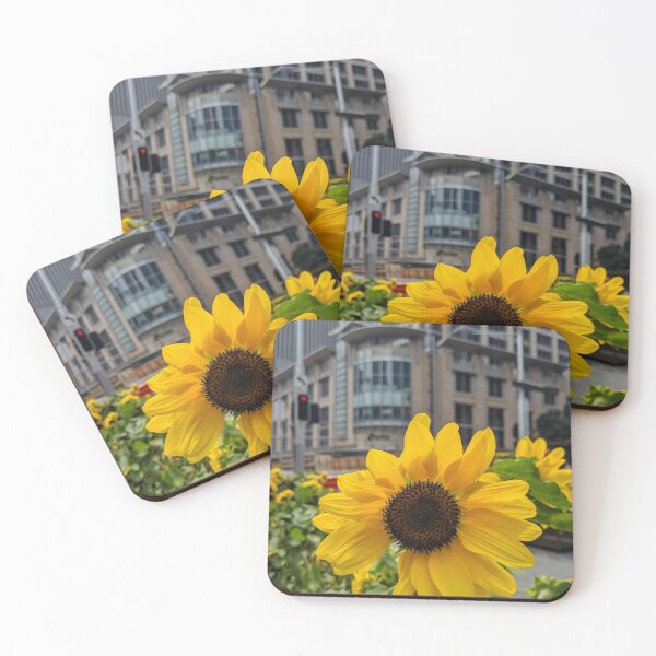 Item preview, Girasol en la ciudad con edificios antiguos. designed and sold by bernie868.