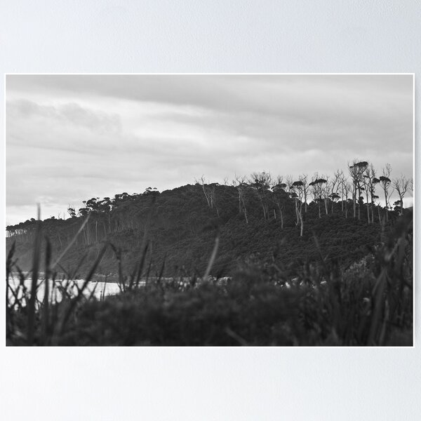 Item preview, Deep Southern Tasmania designed and sold by nickgreenphoto.