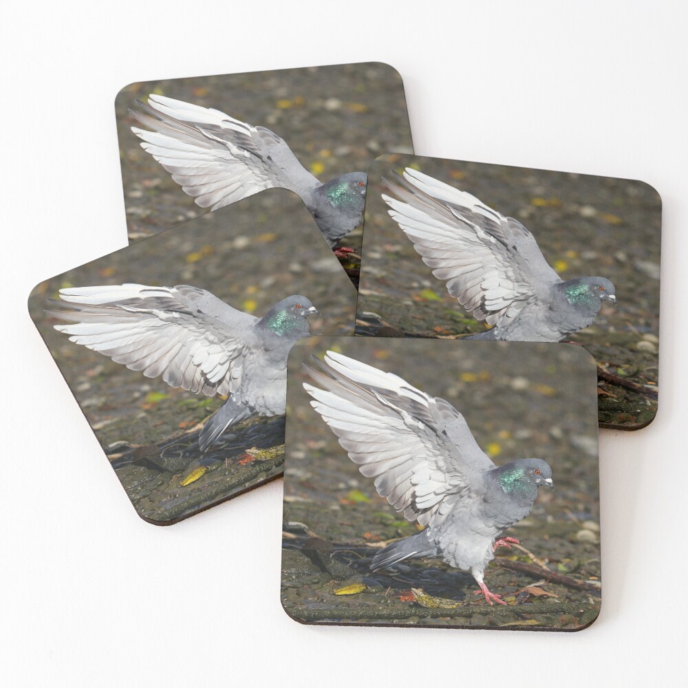 Item preview, Coasters (Set of 4) designed and sold by GreyFeatherPhot.
