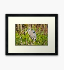 Who Caught Who Framed Print