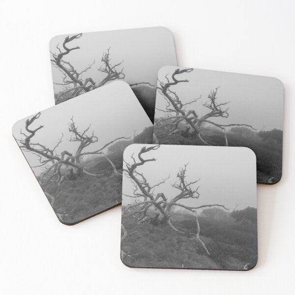 Item preview, Snow Gums in the Mist designed and sold by Toddy4x4.