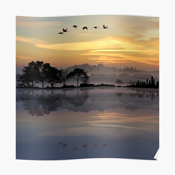 Nature Guitar Sunset Poster