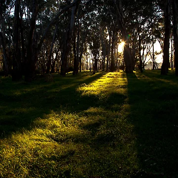 Artwork thumbnail, Light Rays by John Vandeven