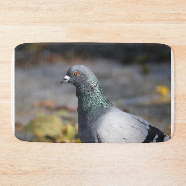 Item preview, Pigeon iridescence designed and sold by GreyFeatherPhot.