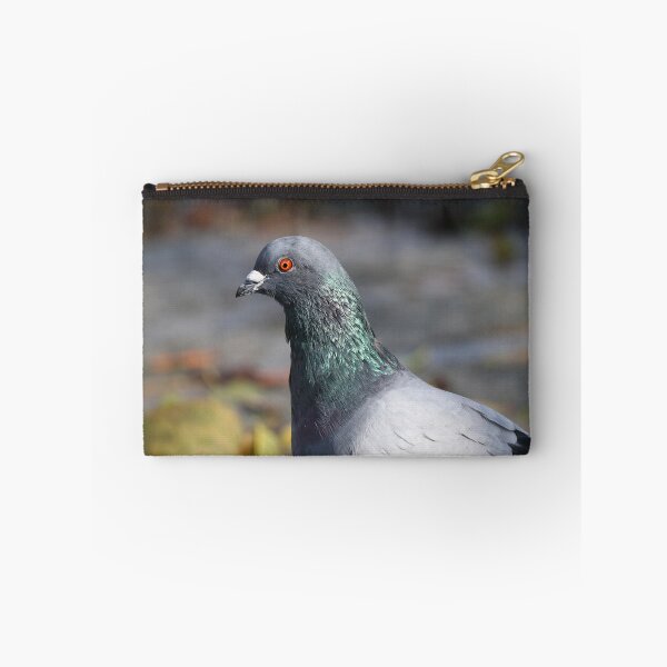 Item preview, Pigeon iridescence designed and sold by GreyFeatherPhot.