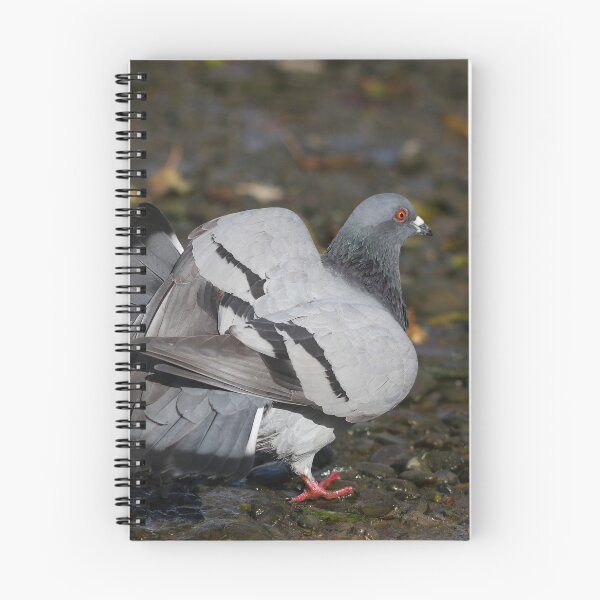 Item preview, Fantail designed and sold by GreyFeatherPhot.