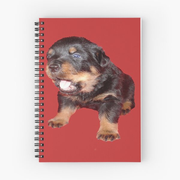 Item preview, Adorable Rottweiler Puppy with Jaw Dropping Expression designed and sold by taiche.