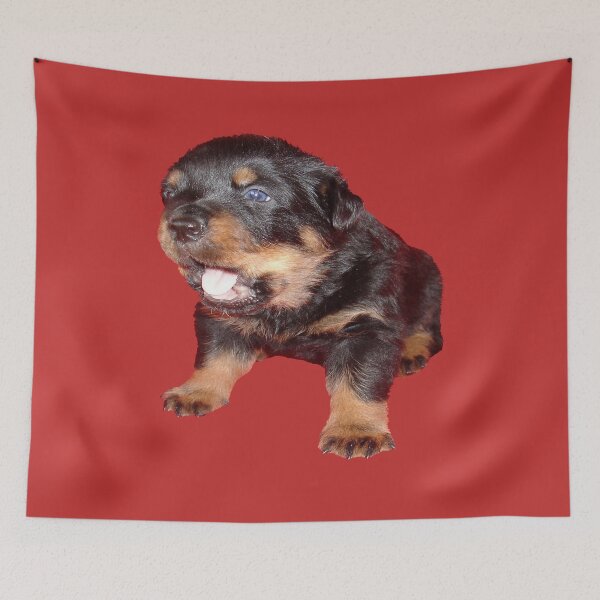 Item preview, Adorable Rottweiler Puppy with Jaw Dropping Expression designed and sold by taiche.