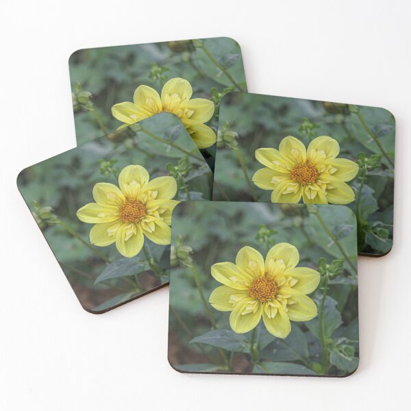 Item preview, Almenland flower designed and sold by wolfgangrainer.