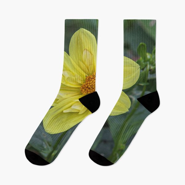 Item preview, Almenland flower designed and sold by wolfgangrainer.