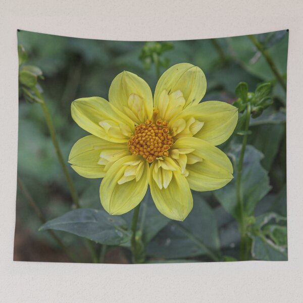 Item preview, Almenland flower designed and sold by wolfgangrainer.