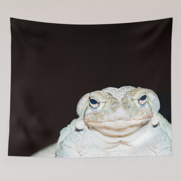 Item preview, Colorado River Toad designed and sold by Thomas F. Gehrke.
