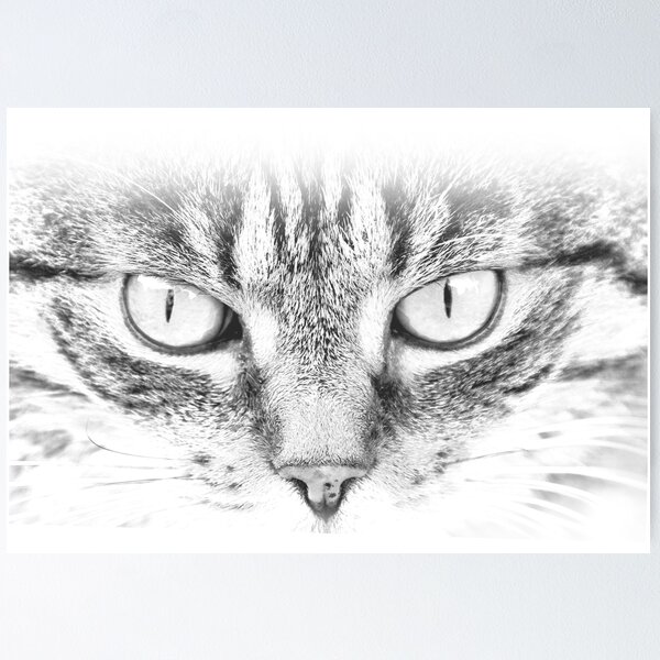 Item preview, cats eyes nad face designed and sold by darekkocurek.