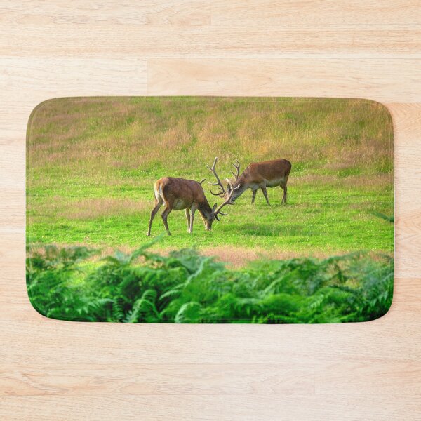 Item preview, Red Deer at Lochranza Golf Course, Isle of Arran designed and sold by AlbaPhotography.