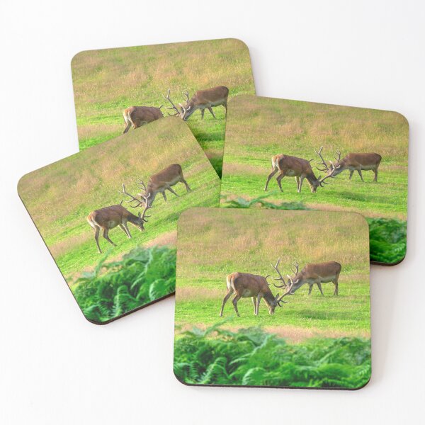 Item preview, Red Deer at Lochranza Golf Course, Isle of Arran designed and sold by AlbaPhotography.