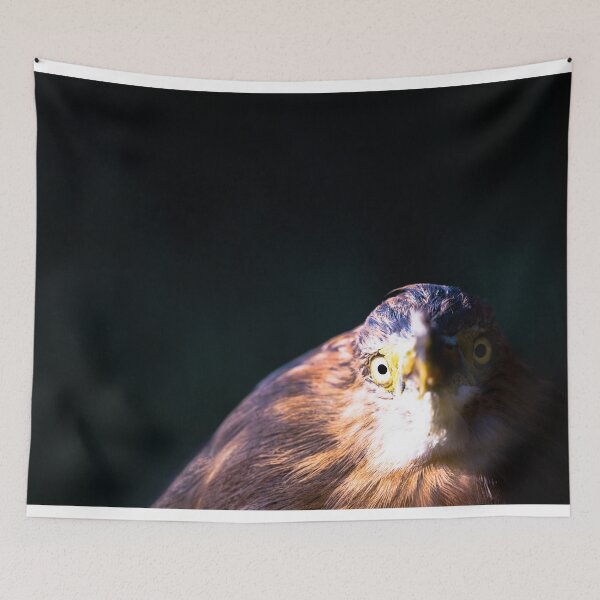 Item preview, Javan Pond-heron designed and sold by Thomas F. Gehrke.