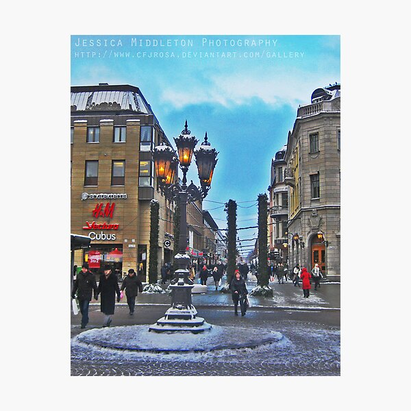 Item preview, Uppsala in Winter designed and sold by cfjrosa.
