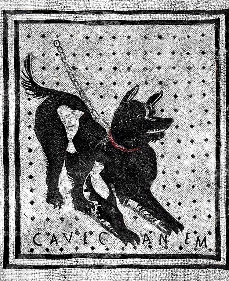 Cave canem фф