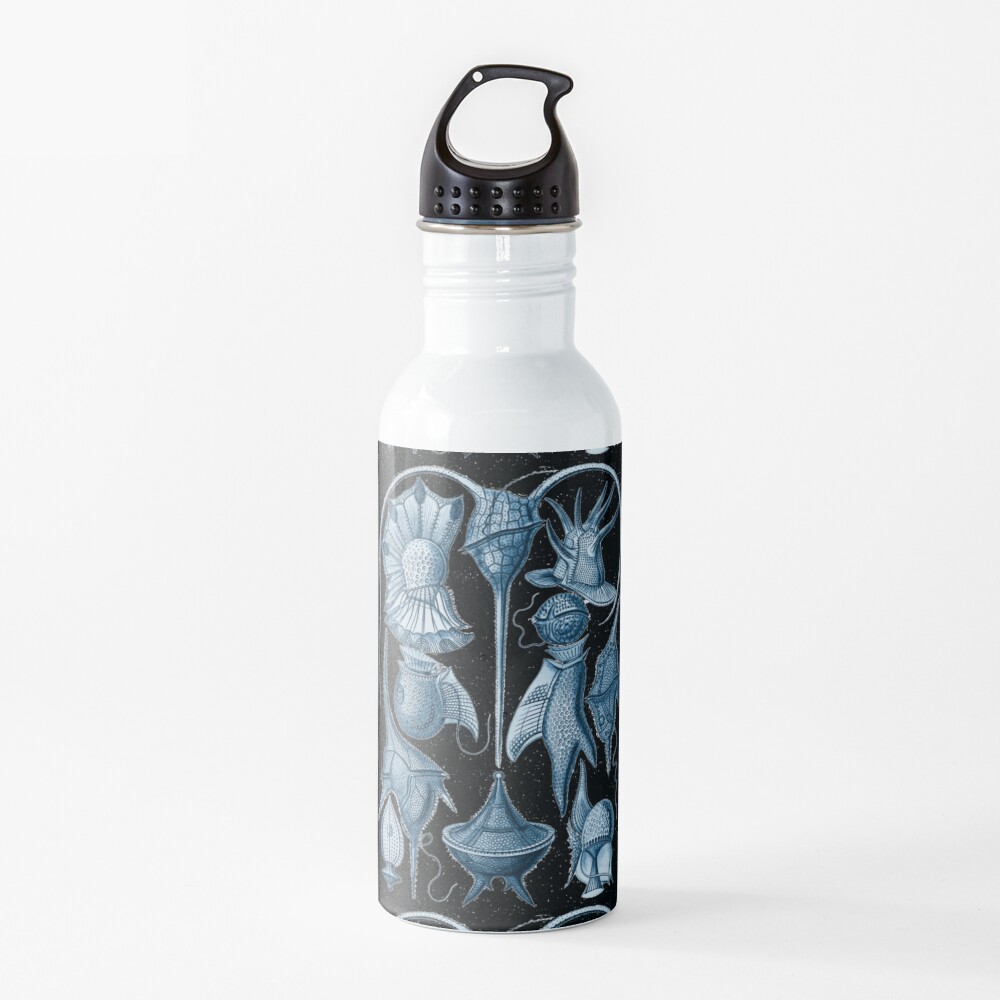 Ernst Haeckel Peridinea Plankton Algae Indigo Water Bottle