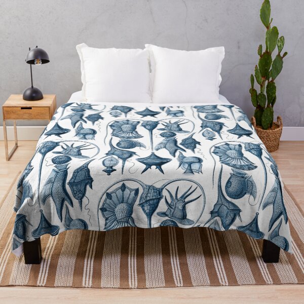 Item preview, Ernst Haeckel Peridinea Plankton Algae Indigo designed and sold by aimeewilson.