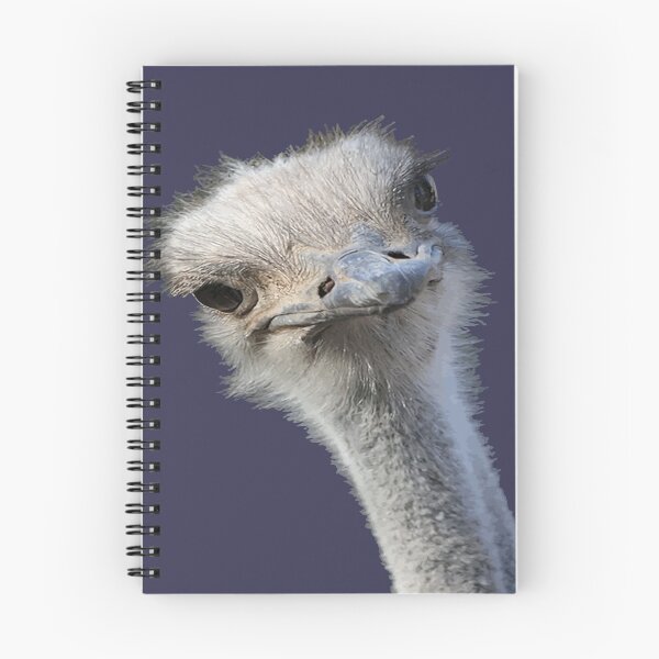 Item preview, Ostrich Face With Gormless Expression designed and sold by taiche.