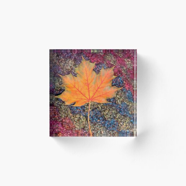 Item preview, Fall Colors designed and sold by Megan Petroski.