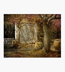 Vases Photographic Print