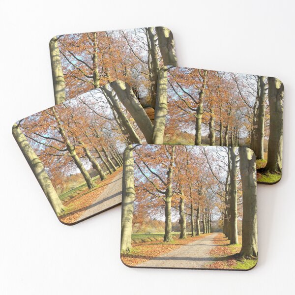 Item preview, Walking with Bliss in November sunshine designed and sold by jchanders.