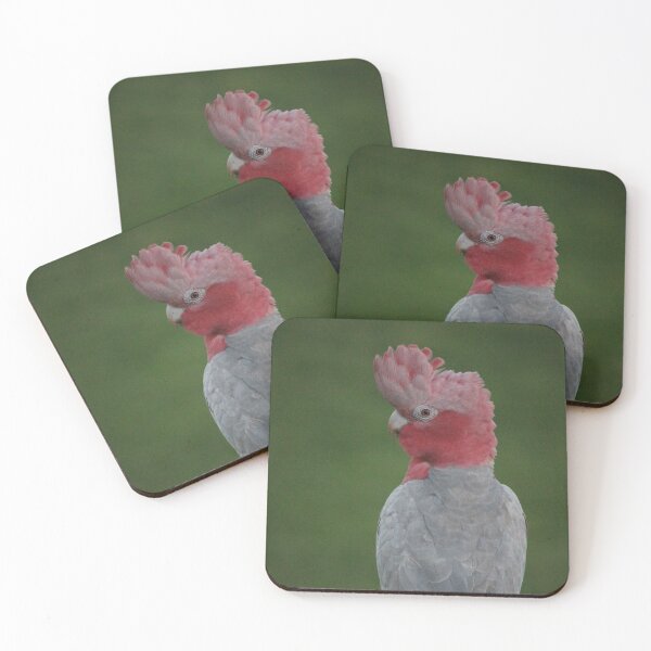 Item preview, Galah designed and sold by thousandofpics.
