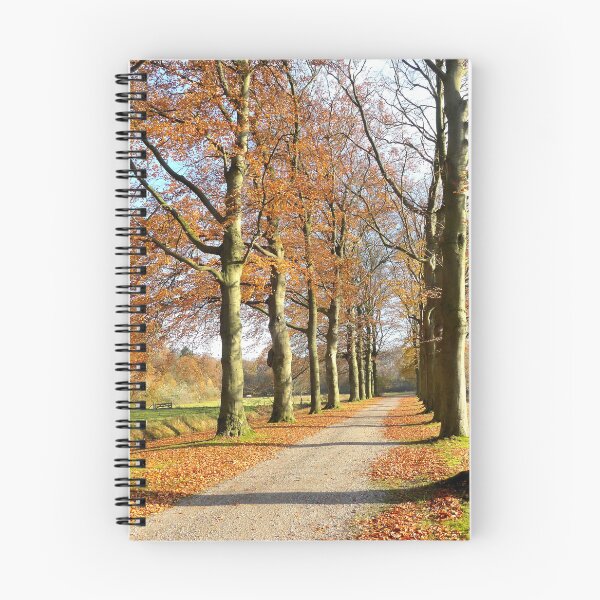 Item preview, Walking with Bliss in November sunshine designed and sold by jchanders.