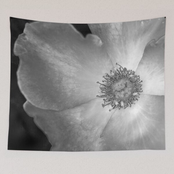 Item preview, Black and White Playboy Rose designed and sold by StampCity.