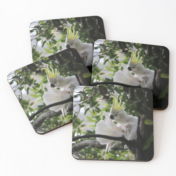 Item preview, White Sulfur Cockatoo  designed and sold by thousandofpics.