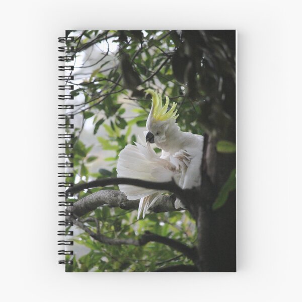 Item preview, White Sulfur Cockatoo  designed and sold by thousandofpics.