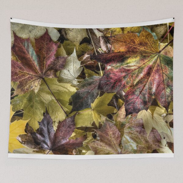 Item preview, Autumn Colours designed and sold by Steve H Clark.