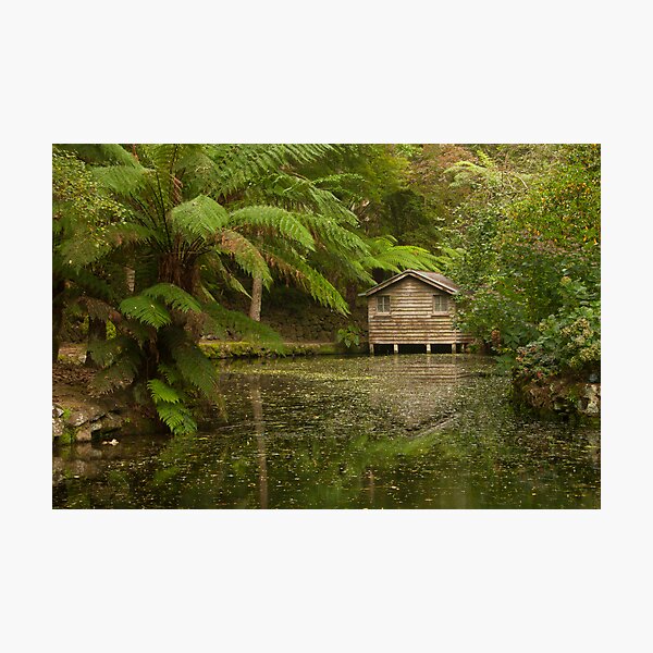 Item preview, The Boat House designed and sold by Timo Balk.